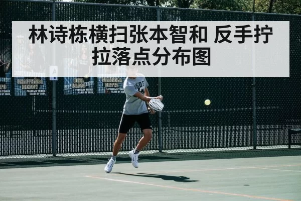 林诗栋横扫张本智和 反手拧拉落点分布图