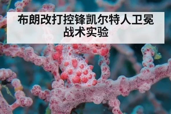 布朗改打控锋凯尔特人卫冕战术实验